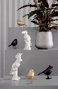 16475_f276e8be5fa97c60413d6f19053ac56879370ba8.webp