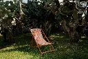 Transat Cala Figuera Terracotta 4.webp