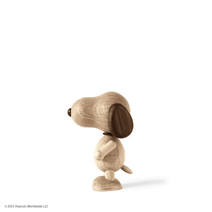 Boyhood-x-Peanuts_snoopy_small_400110_2_online_55efcf18-1c36-4e2d-8264-39147d47e3bf_700x700.webp