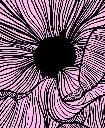 A-FAN-OF-Abanico-Eventail-chic-bloom-design.webp