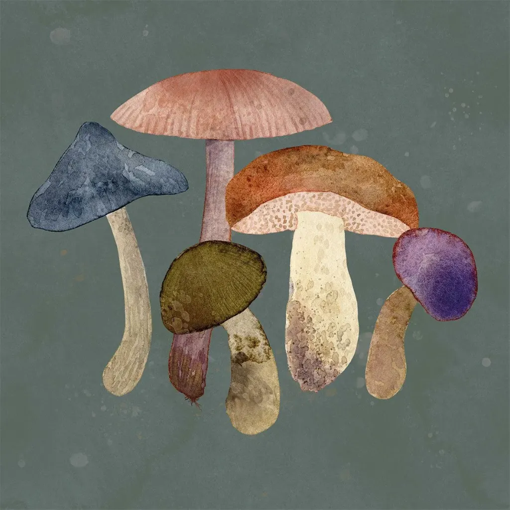 [2700028] Serviettes De Table Mushroom Fantasy Napkin 33x33Cm