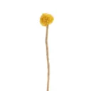 Endless Flower, Sunball Thistle