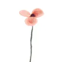 Endless Flower, Poppy Peach